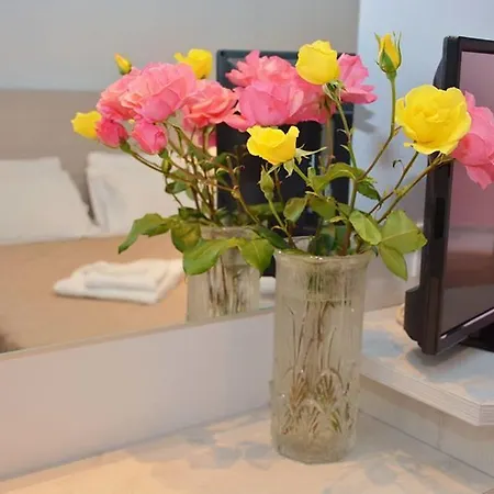 Anemone House &